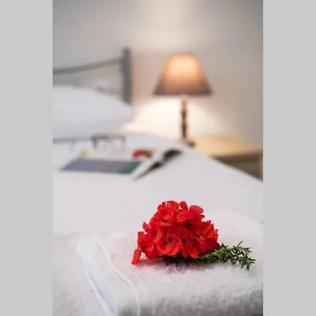 Apartman In The Center Of Lefkas